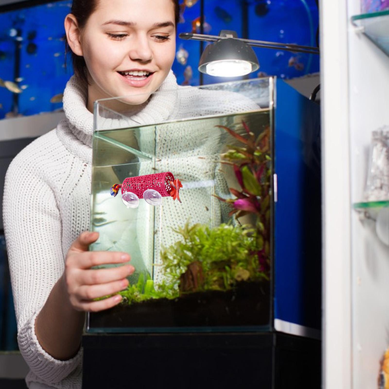 Aquarium Fish Betta - Betta Habitat Rustplaats Ornament Vis Tunnel