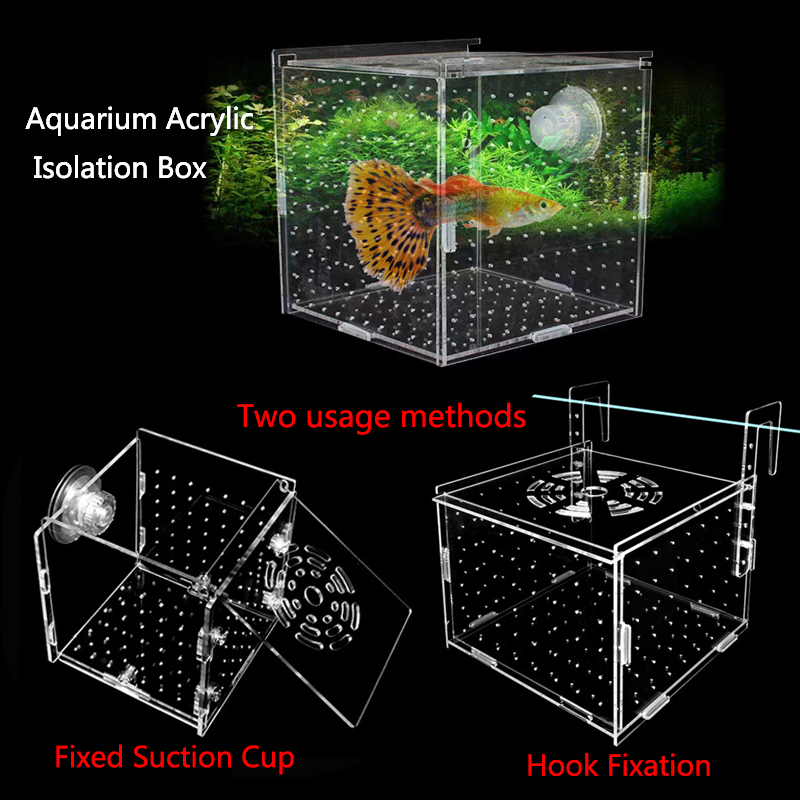Box Fish In Aquarium - Hoge Transparantie Acryl Aquarium Vissen Fokken