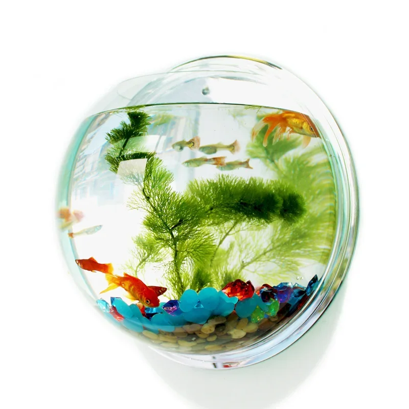 Aquarium Fish Betta - Pinsjar Acryl Viskom Muuropknoping Aquarium Tank