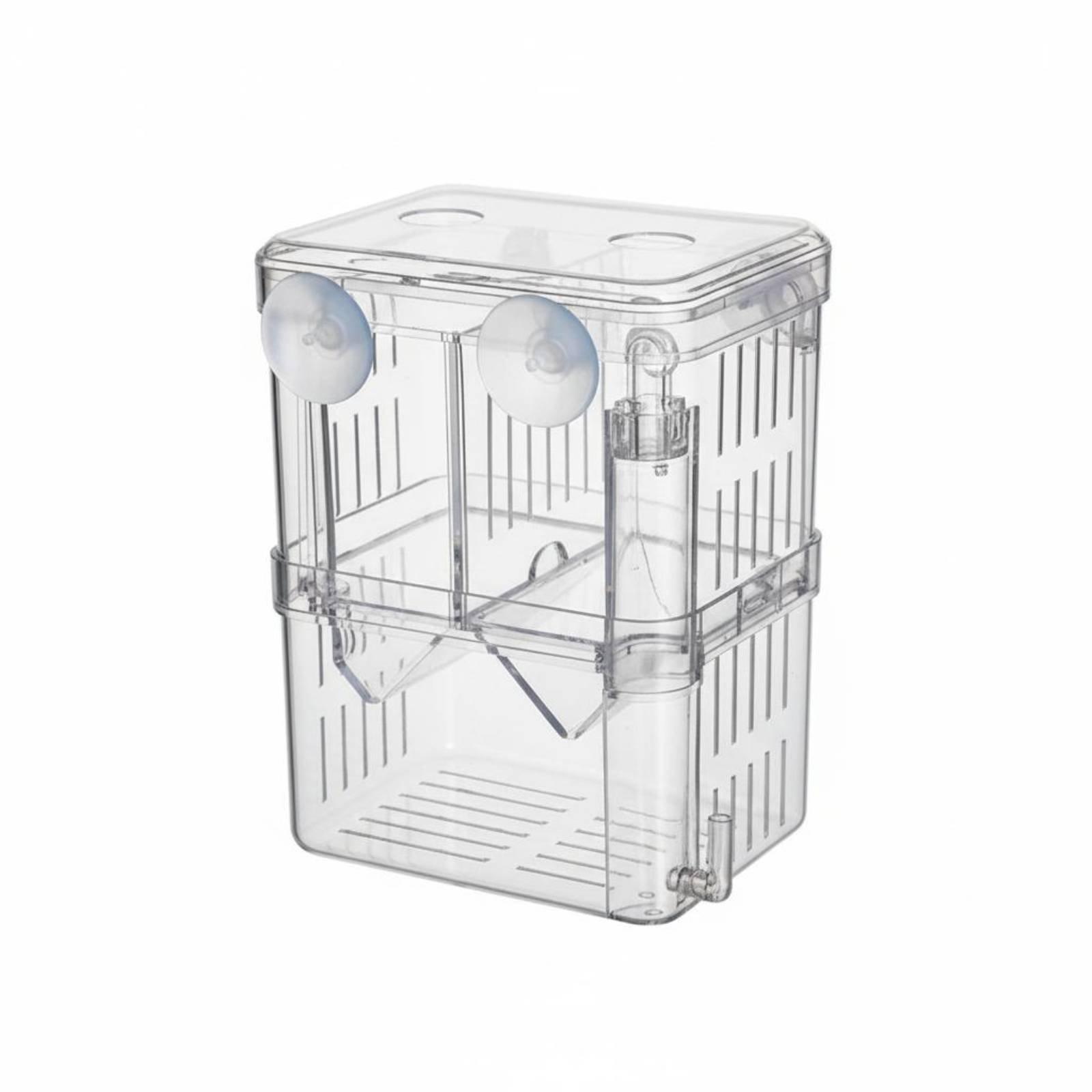 Box Fish In Aquarium - Dubbellaagse aquariumkweektank, isolaatbox voor jonge vissen,