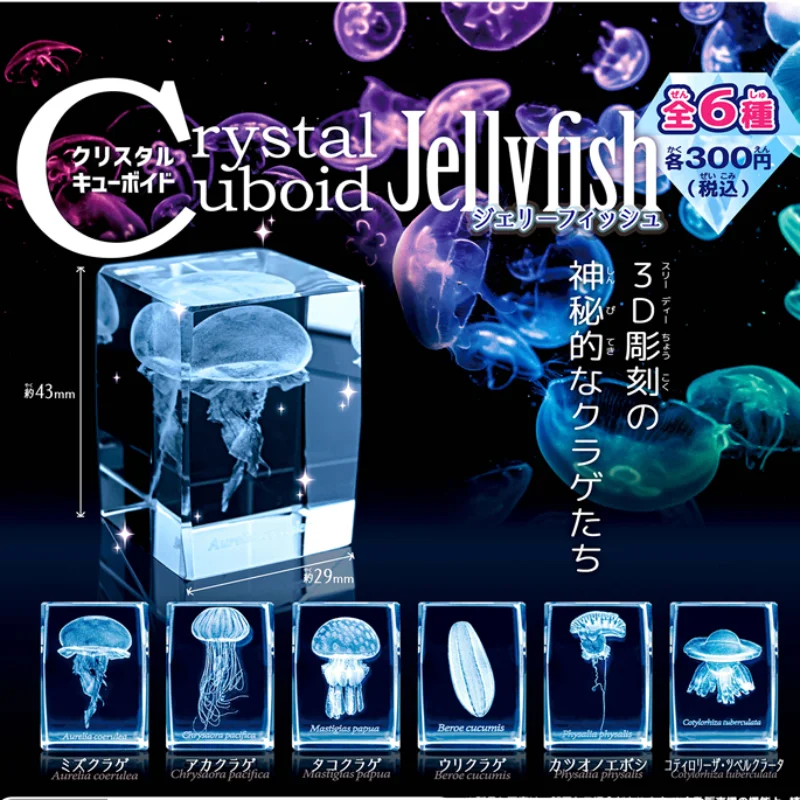 Aquarium Fish Discus - Japan Gashapon Kwallen 3d Crystal Cuboid