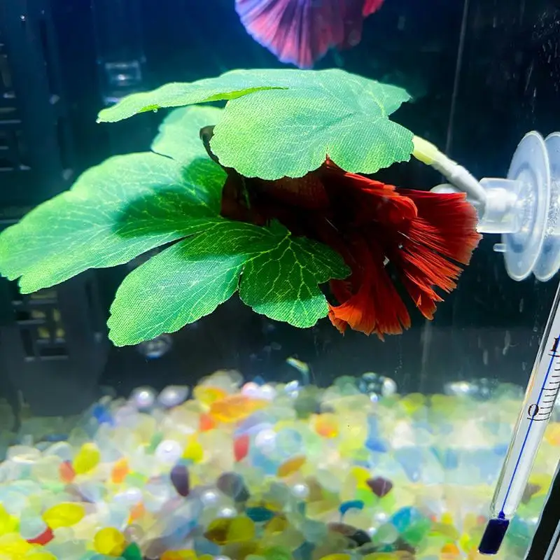 Aquarium Fish Betta - Betta Fish Leaf Hangmat Aquarium Decoratief