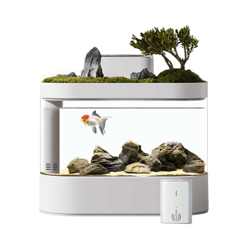 Aquarium Fish Betta - Slim bureauaquarium van plastic met ecologisch