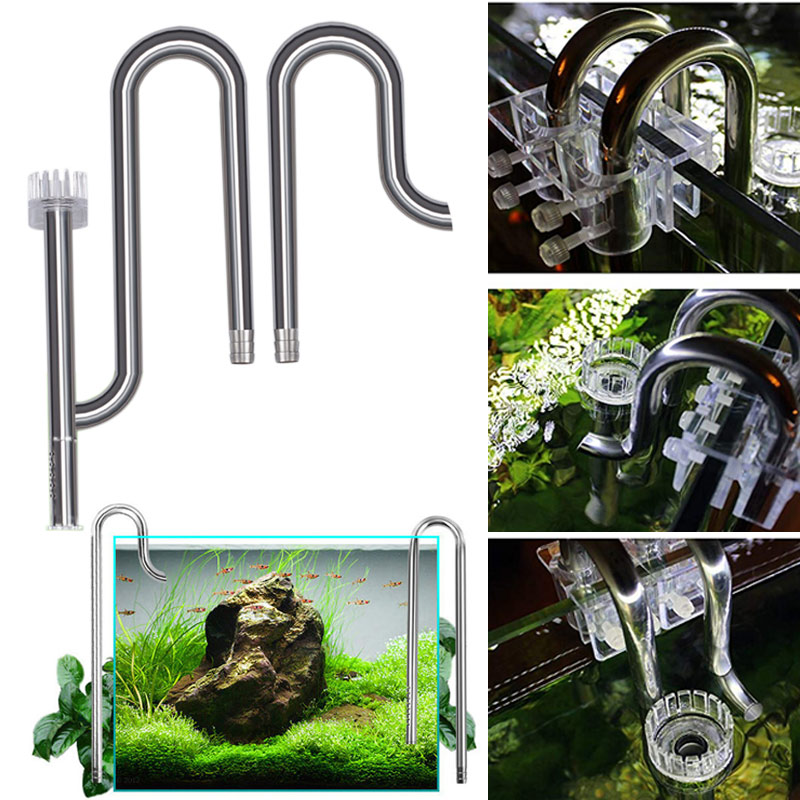 Aquarium Fish For Beginners - Nieuwe Aquarium Lelie Pijp Rvs Instroom