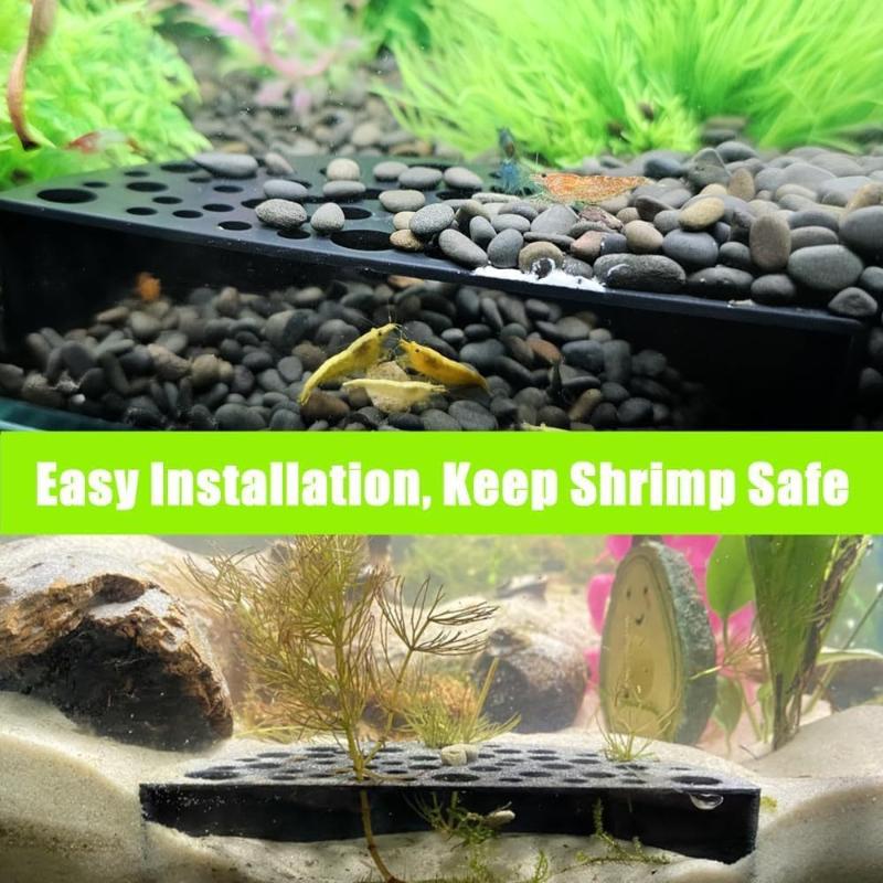 Aquarium Fish For Beginners - Nieuw aquarium verborgen grotverblijf voor kleine