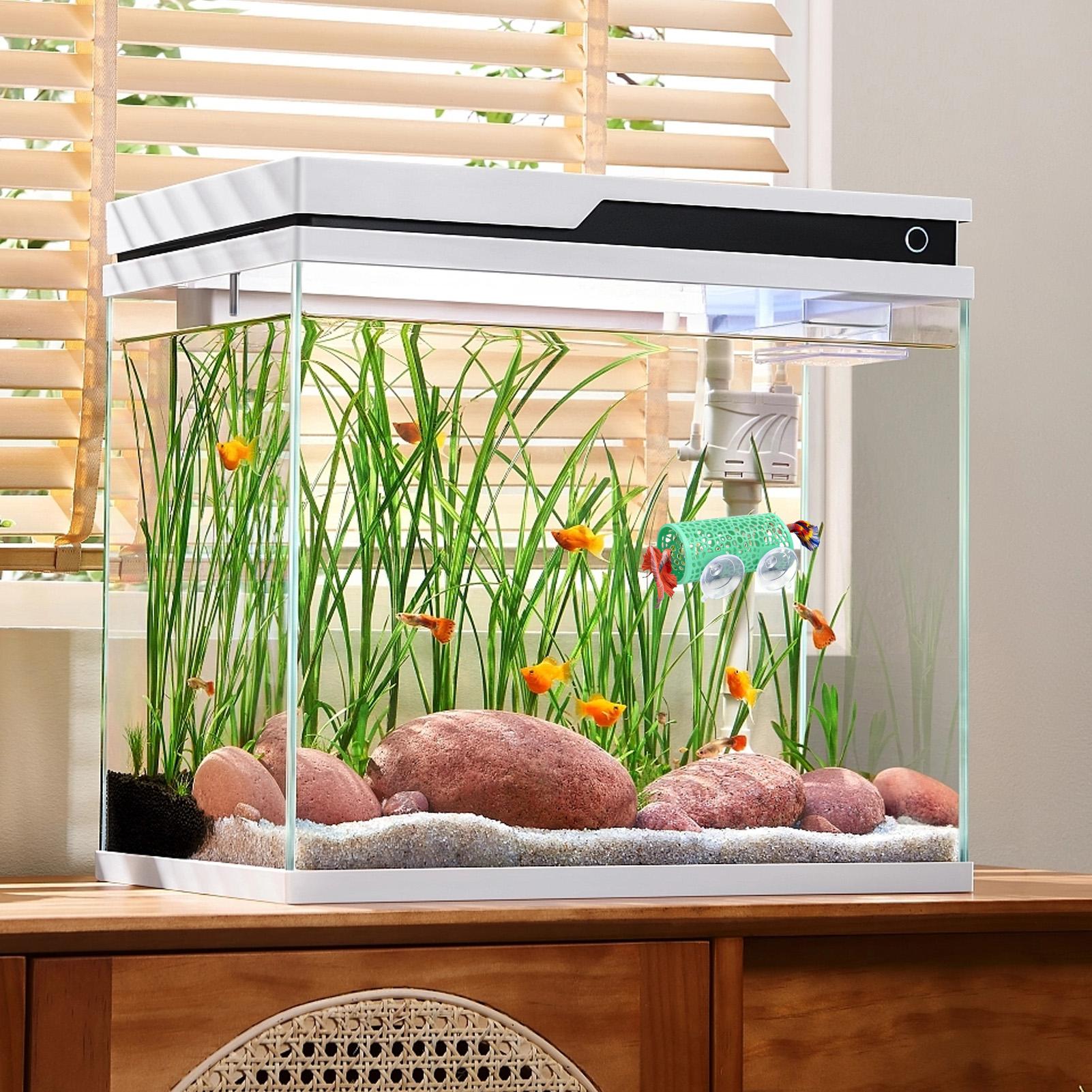 Betta Habitat Rustplaats Ornam - Aquarium Fish Betta recensie en prijs