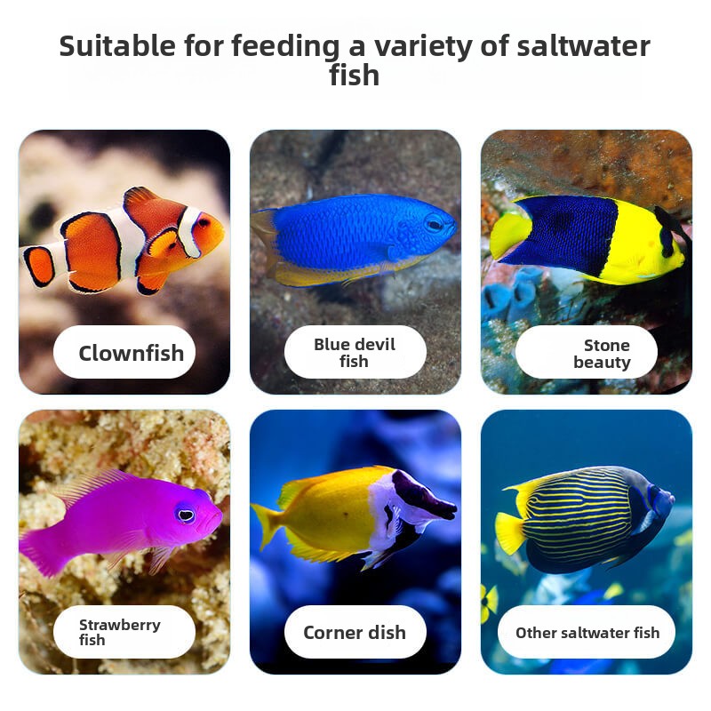 DEERA Clownvis & Tang Voedsel  - All Fish In Aquarium recensie en prijs