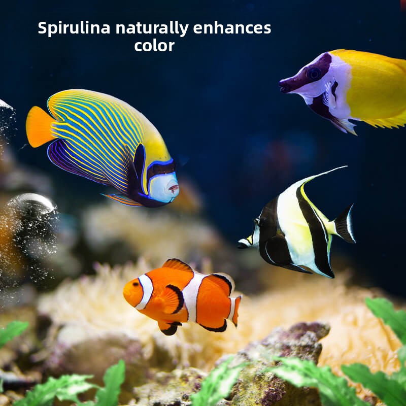 DEERA Clownvis & Tang Voedsel  - All Fish In Aquarium recensie en prijs