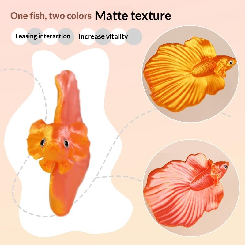 【CC】 Kleurrijke aquarium Betta - Aquarium Fish Betta recensie en prijs