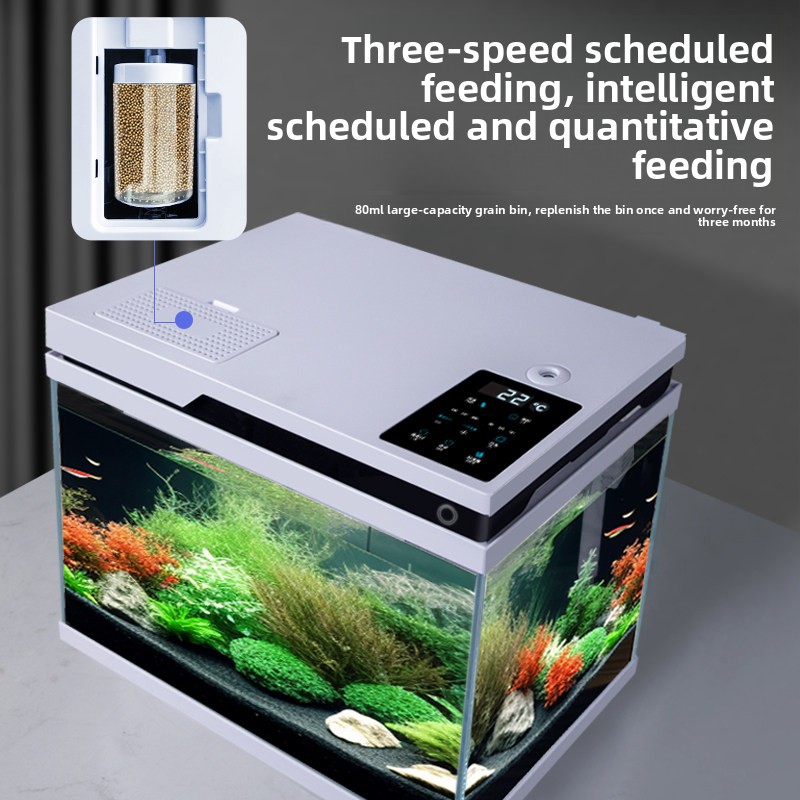 Heldere glazen viskom met slim - All Fish In Aquarium recensie en prijs
