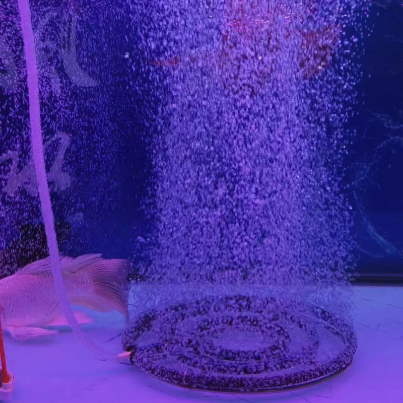 304 RVS Nano Zuurstof Beluchti - Aquarium Fish Discus recensie en prijs