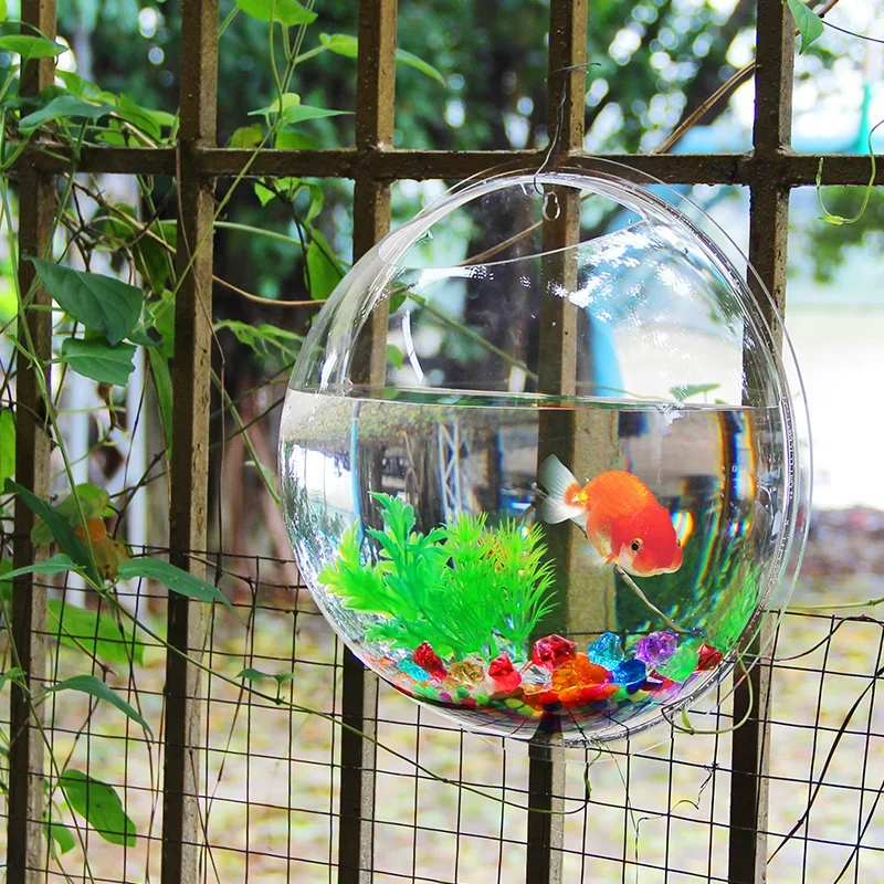 Pinsjar Acryl Viskom Muuropkno - Aquarium Fish Betta recensie en prijs