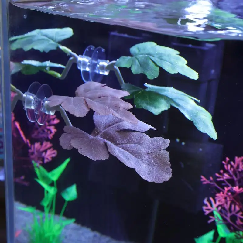 Betta Fish Leaf Hangmat Aquari - Aquarium Fish Betta recensie en prijs