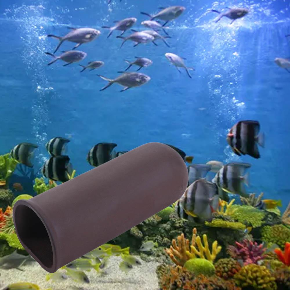 Nieuwe Aquarium Aquarium Schui - Aquarium Fish For Beginners recensie en prijs
