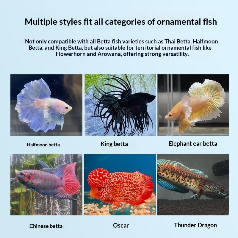 Betta Vis Drijvende Dubbelzijd - Aquarium Fish Betta recensie en prijs