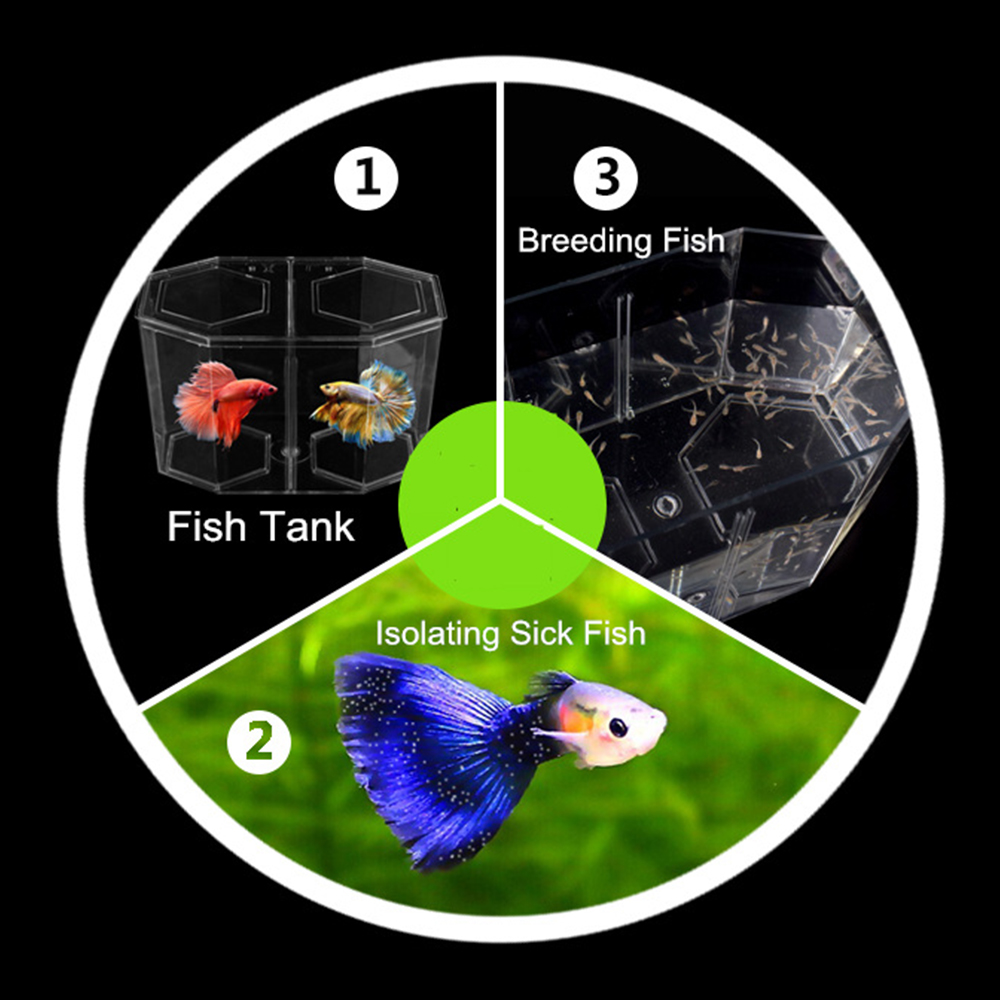 Acryl Twee Splits Guppy Aquari - Aquarium Fish Betta recensie en prijs
