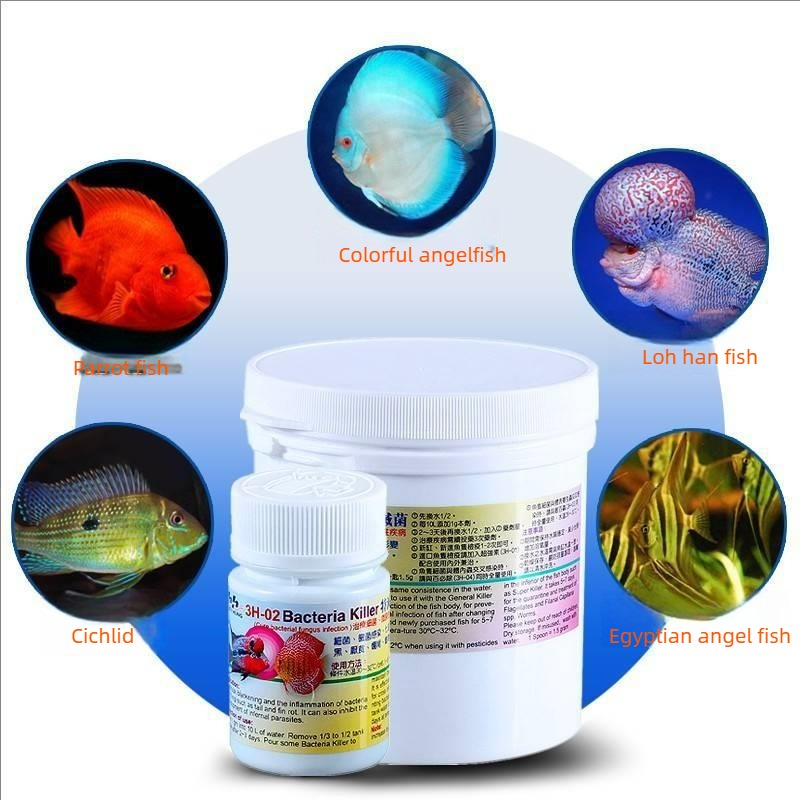 Aquariumvissen behandeling teg - Aquarium Fish Discus recensie en prijs
