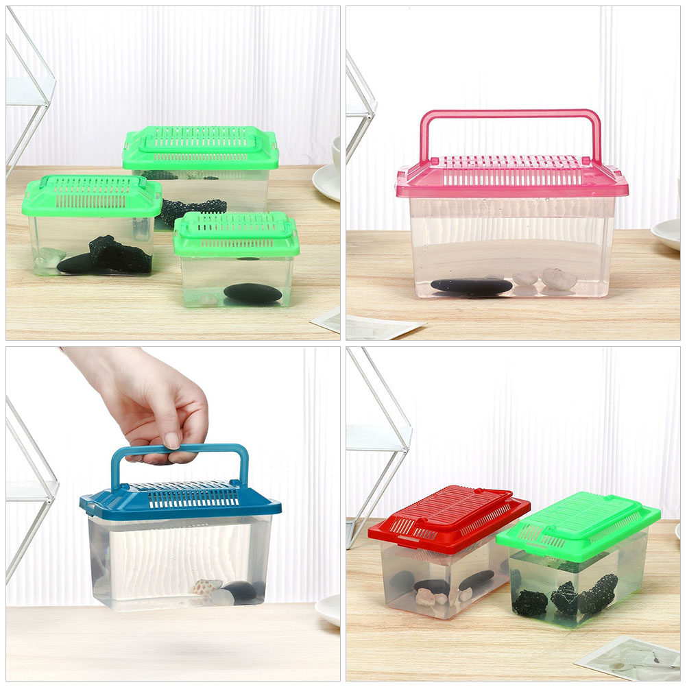 Draagbare schildpadtank, trans - Box Fish In Aquarium recensie en prijs