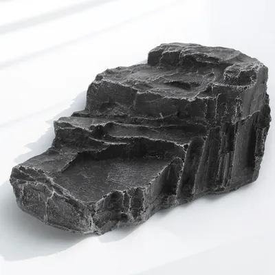 Harsen schildpad-zonneplatform - Box Fish In Aquarium recensie en prijs