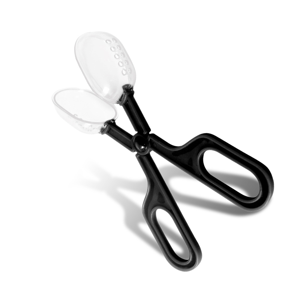 Draagbare Transparante Insect  - Aquarium Fish For Beginners recensie en prijs