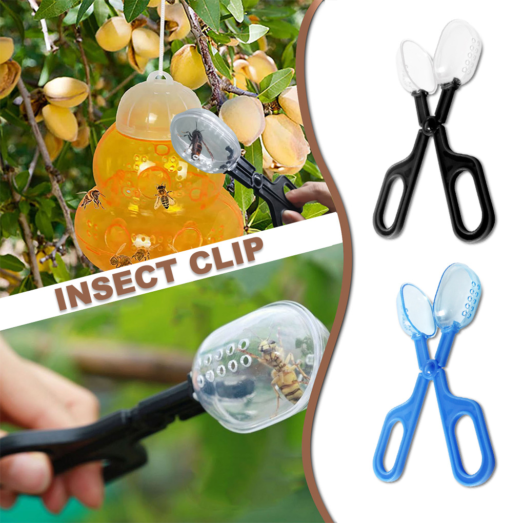 Draagbare Transparante Insect  - Aquarium Fish For Beginners recensie en prijs