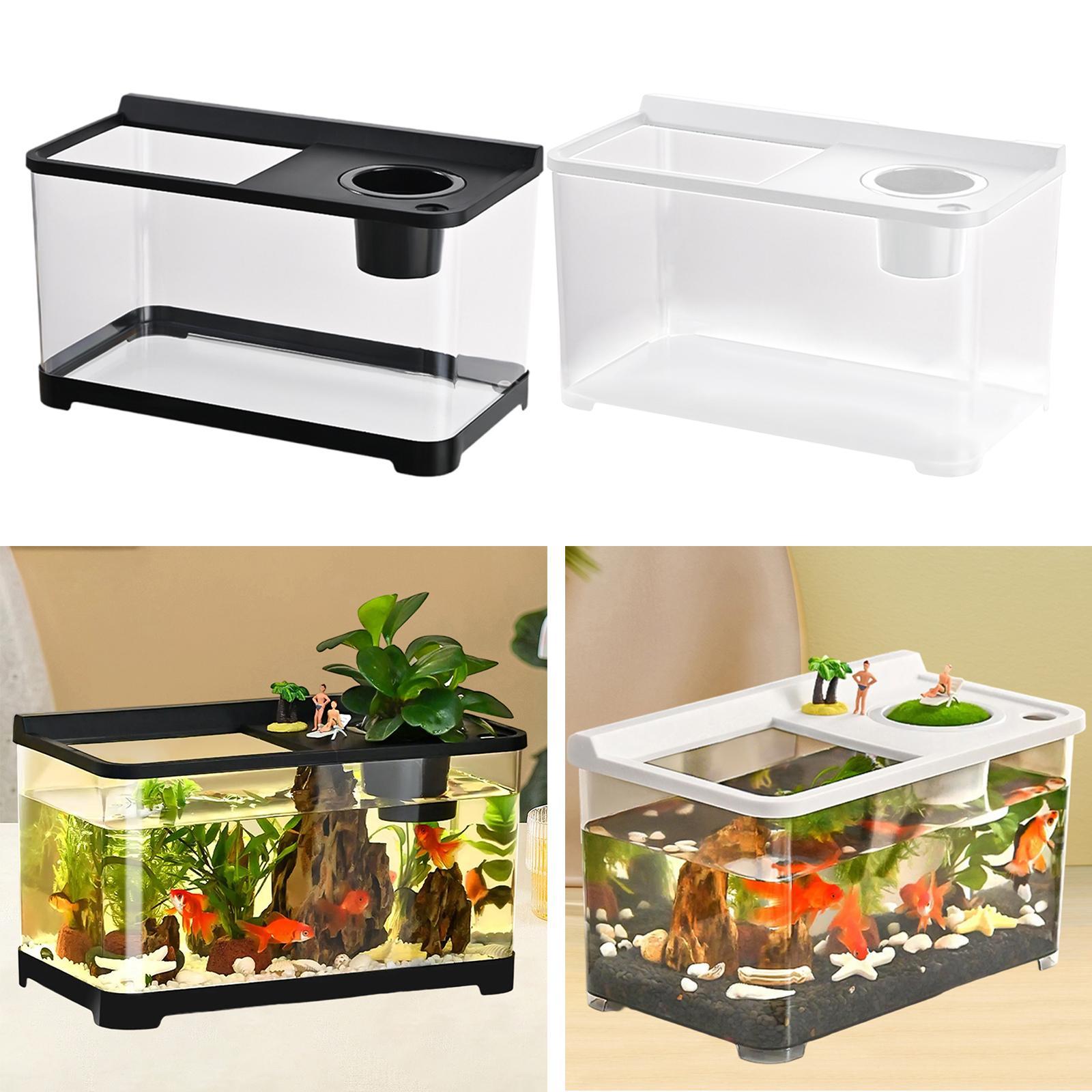 Betta Aquarium 34x21x20cm Stap - Aquarium Fish Betta recensie en prijs