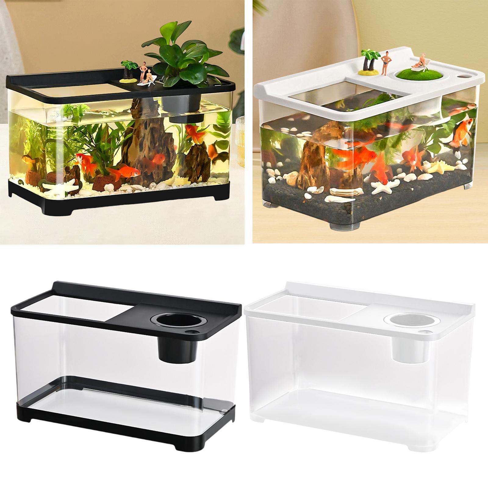 Betta Aquarium 34x21x20cm Stap - Aquarium Fish Betta recensie en prijs