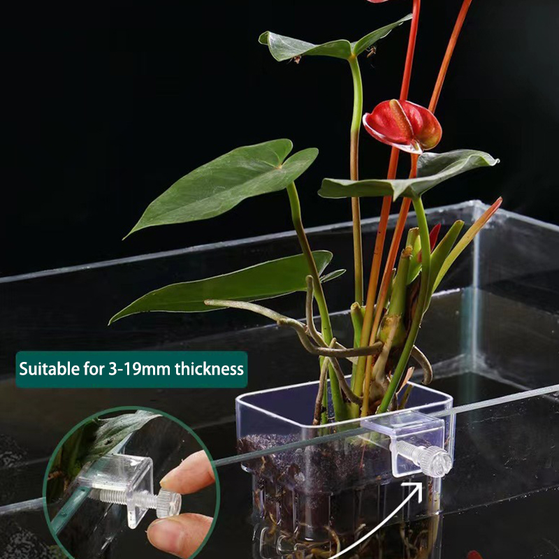 Multifunctionele Vis Aquarium  - Box Fish In Aquarium recensie en prijs